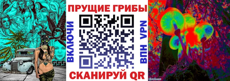 ссылка на мегу ONION  Воронеж  Галлюциногенные грибы Magic Shrooms  как найти закладки 