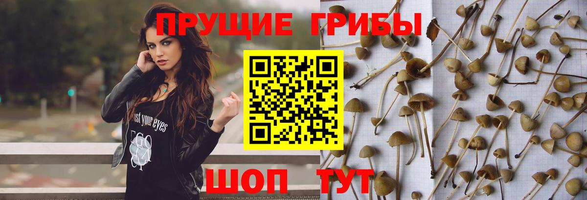 Воронеж  Галлюциногенные грибы Magic Shrooms  Вход с VPN 