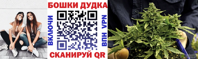 Конопля сатива  как найти наркотики  Воронеж 